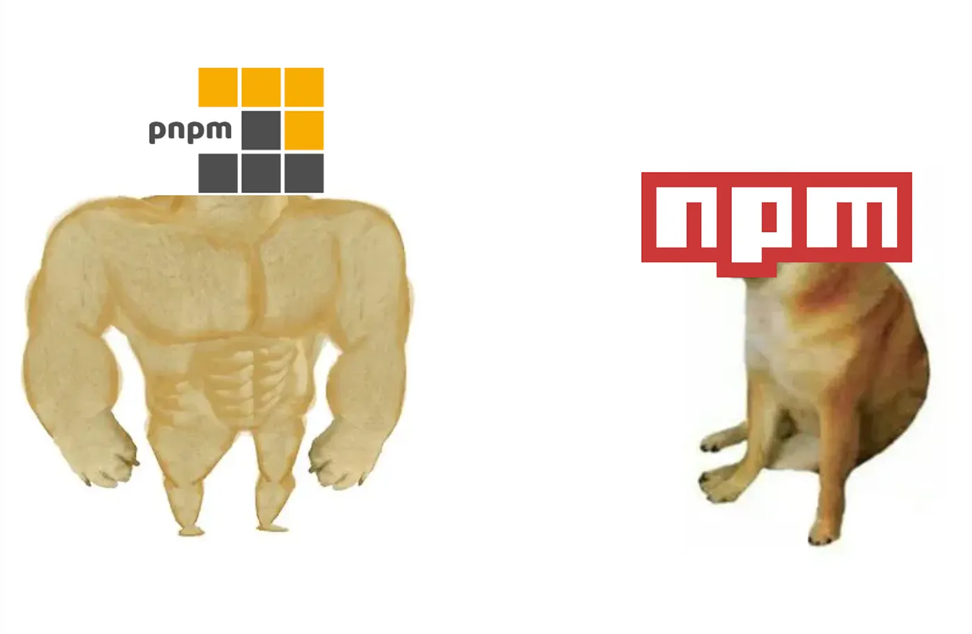 npm and pnpm